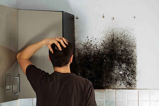 Best Local Mold Removal Service  in Woodlynne, NJ